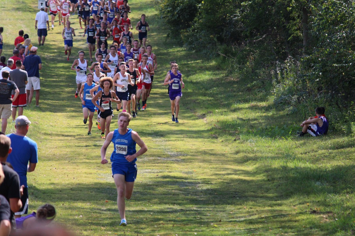Best Race Timing Service Applied Race Management Solutions
